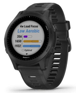 Garmin Fenix 5 Sapphire