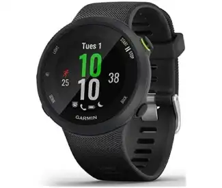 Forerunner 45 Running Watch