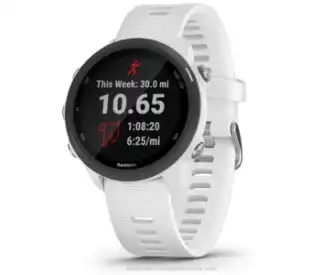 Garmin Forerunner 245